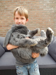 Voodouche