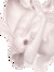 bunny •๑•