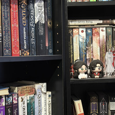 TheBookLovingReader