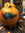 Hannah Storey