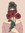Juniper  | 888 comments