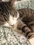 Eva Cam...