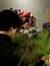 Flor