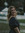 Liz Downing