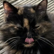 ella