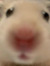 Beans S...