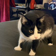 Nick