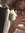 kaleb!