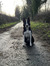 Reader