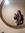Ipsum