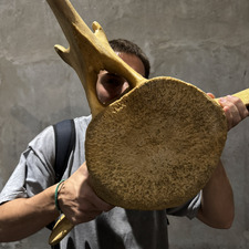 Leandro Cappella