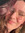 Lisanne Vening