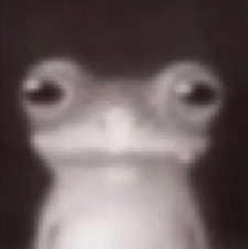 Dylan M