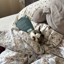 NM