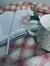 Catheri...
