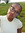 Chene Montaque