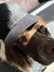 Noah Mi...