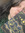 member photo member photo