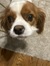 ☆♪AnDrEa♪☆ 