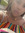 member photo member photo