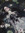 Deb ~in my graduation era~ | 1 comments