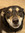 member photo member photo