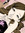 elthepixie