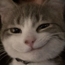 mimi