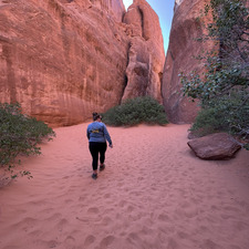 Erin