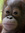 primate