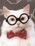 Jimmy