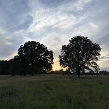 Emmanuel