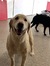 Stacied...