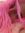 mya_mandarina