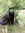 Katie_Felt