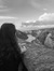 rena