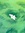 Birb