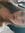 Ainsley Passmore