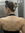 Kornelia