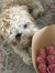 Rosalie