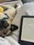kindleq...