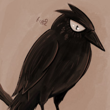 Tiko Ame