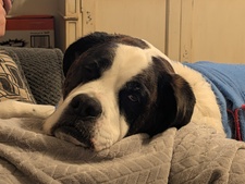 Sam