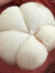 Anh Le