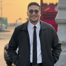 Ahmed Elsalamony