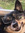 member photo member photo