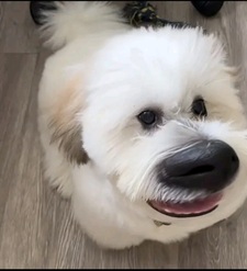 A A