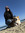 Lesly