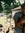 Noah Johnson