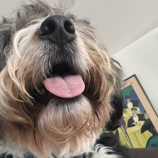 Nellie